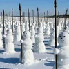 snowmanarmy