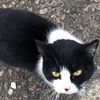 secret_account6773
