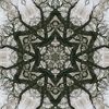 dreamingme2