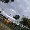 cataleya201410