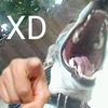 dasr_gx