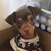 fredycruguer31