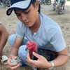 axnguyentrong