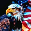 bigtxpatriot