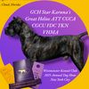 magicalcreaturecanecorso