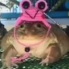 ordinarygary_