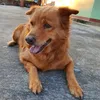 bunny_namthip