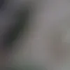 user817524246