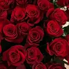 atie_otman233
