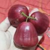 haliladhan10