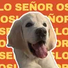 senor.oslo