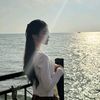 betchessea