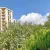 ahmedtaqana373