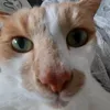 magic_sacha