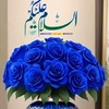 usman55584