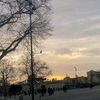 hejertunis