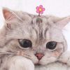dungduong7692