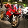 atala_601