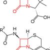 propylthiouracil_31