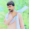 amirshahzad2977015