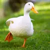 duckityduck15