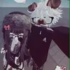 chikhanhronaldo