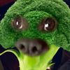yodalehoo