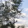 ghhh_hjjj1245