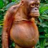 froggybutt_girl