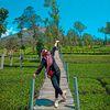 buind_03