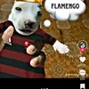 tiago_mgf