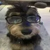 koocegas