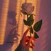 amina_91_