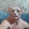 mr.straycat