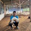 denfarm