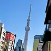 dyn8xxh0rwvx