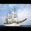 theannguyen83