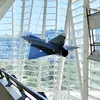 david_dalt_aviation