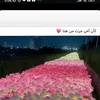 ibra_2940