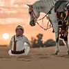qaedamar01