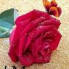 lovelier38