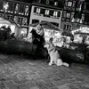florentmeschberger