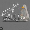 mughalzaadi435