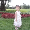 lhpthp2511