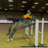 izzyfizzywhizzy