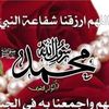 mohmedrahama2