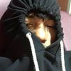 sneakva