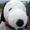 snoopdog812
