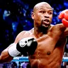 boxing336699