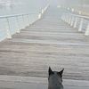 travellingfan9